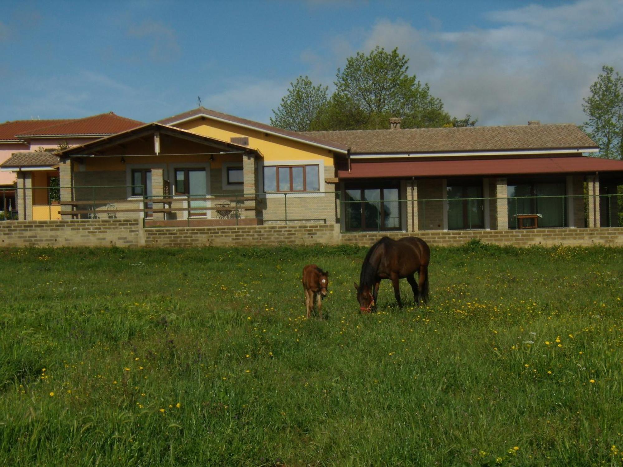 Agriturismo L.B.Stud Bracciano  Extérieur photo