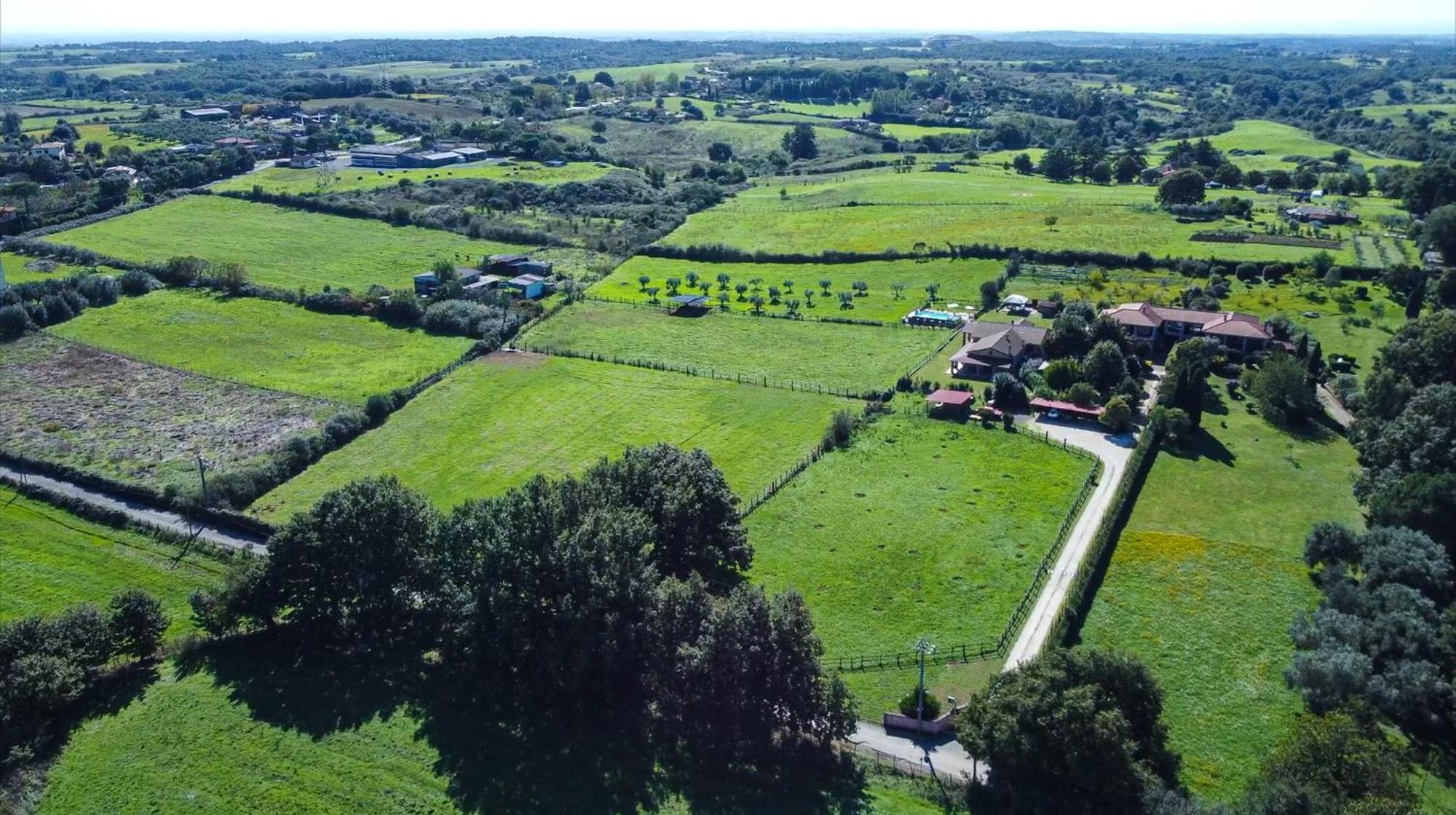 Agriturismo L.B.Stud Bracciano  Extérieur photo